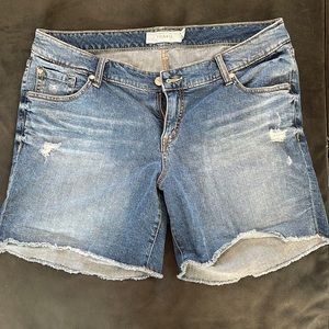 Torrid shorts